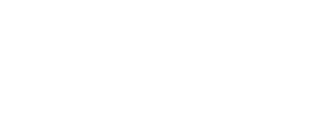 Tu Proyecto Paralelo - #1 Amazon Seller Academy in Spanish Speaking Countries