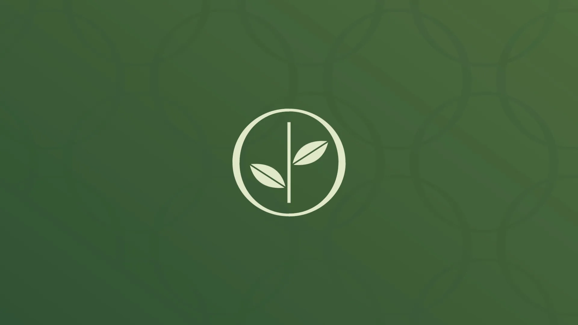 Crear empresa online — Moraleda Gestión Empresarial